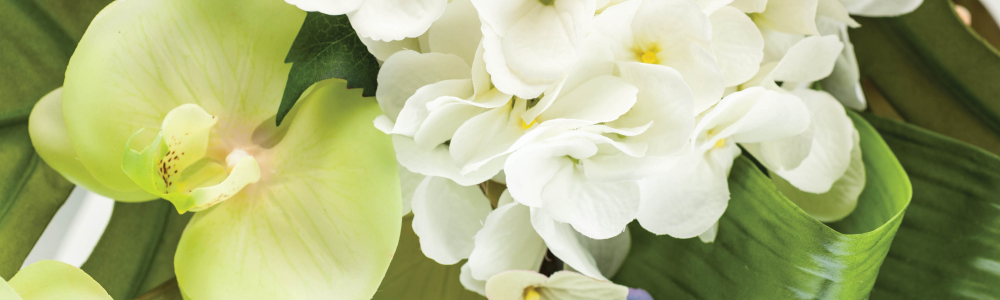 User banner image