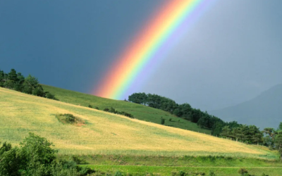 Ex-Apple Team Introduces Acme Weather with a Fresh Forecasting Approach