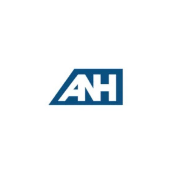 Cyprus Business Group ANH Auditors Consultants 600x600