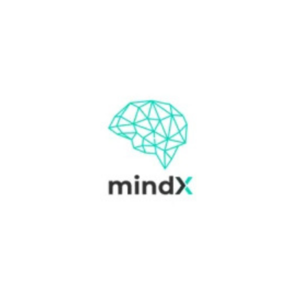 Cyprus Business Group MindX 600x600
