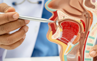Why Your Oral Health Could Be Your Biggest Business Advantage
